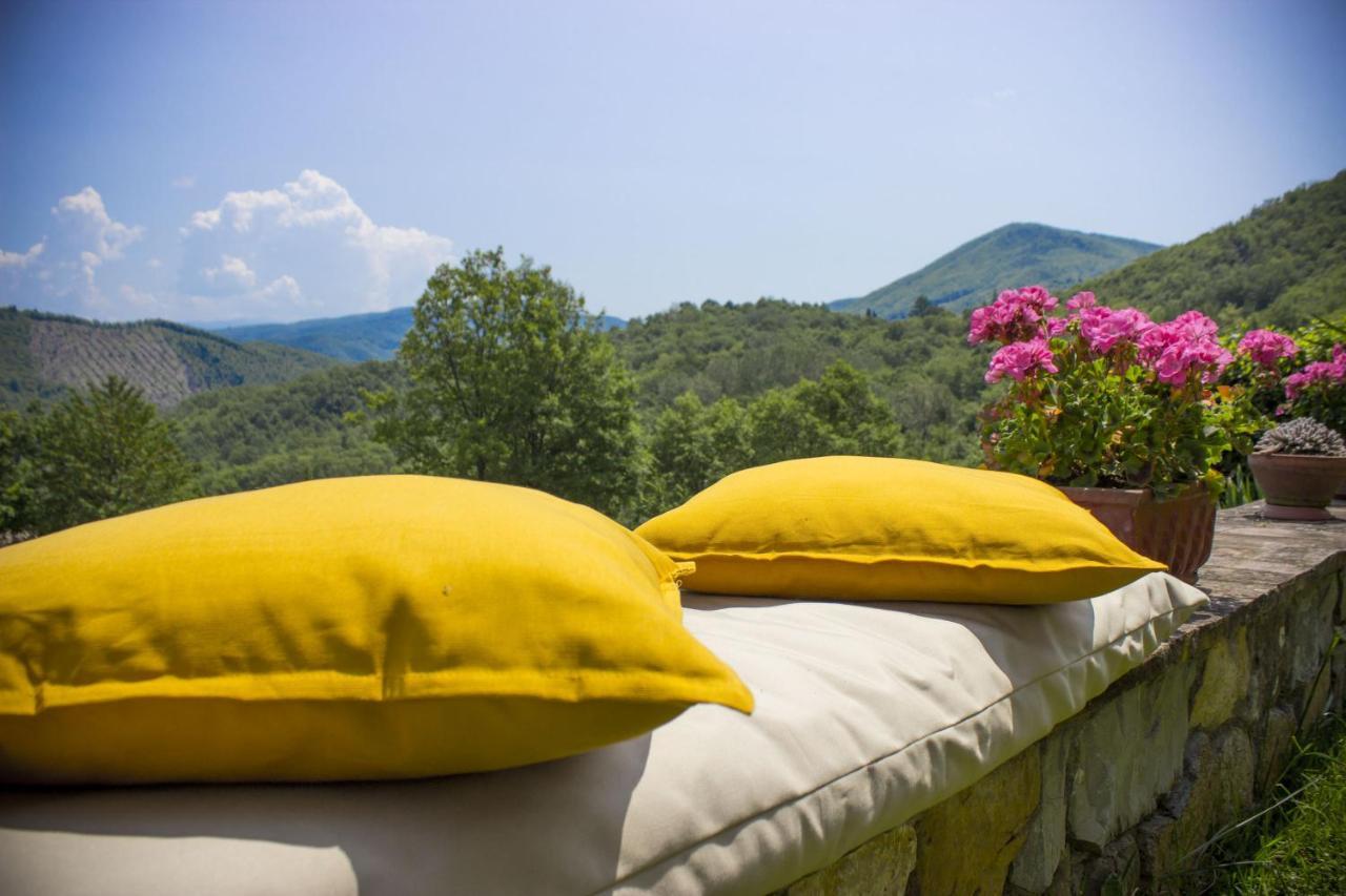 Villa Porcigliano Olive Grove Polcanto Екстер'єр фото