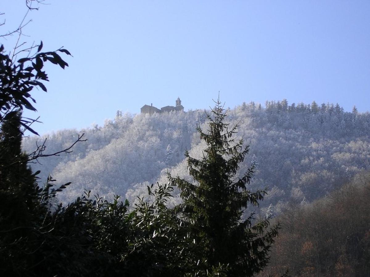 Villa Porcigliano Olive Grove Polcanto Екстер'єр фото