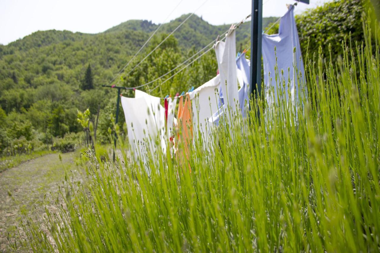 Villa Porcigliano Olive Grove Polcanto Екстер'єр фото