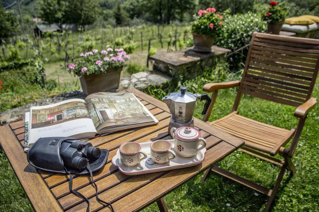 Villa Porcigliano Olive Grove Polcanto Екстер'єр фото
