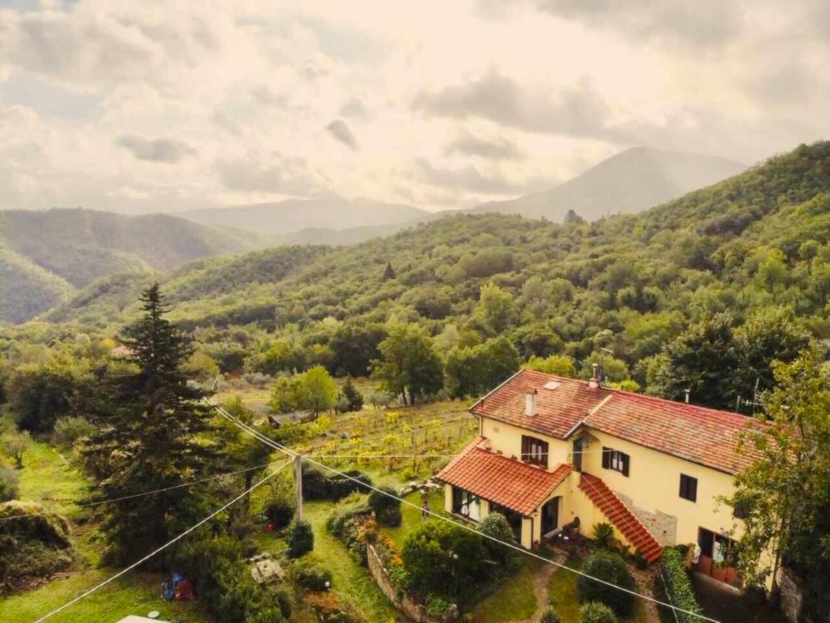 Villa Porcigliano Olive Grove Polcanto Екстер'єр фото