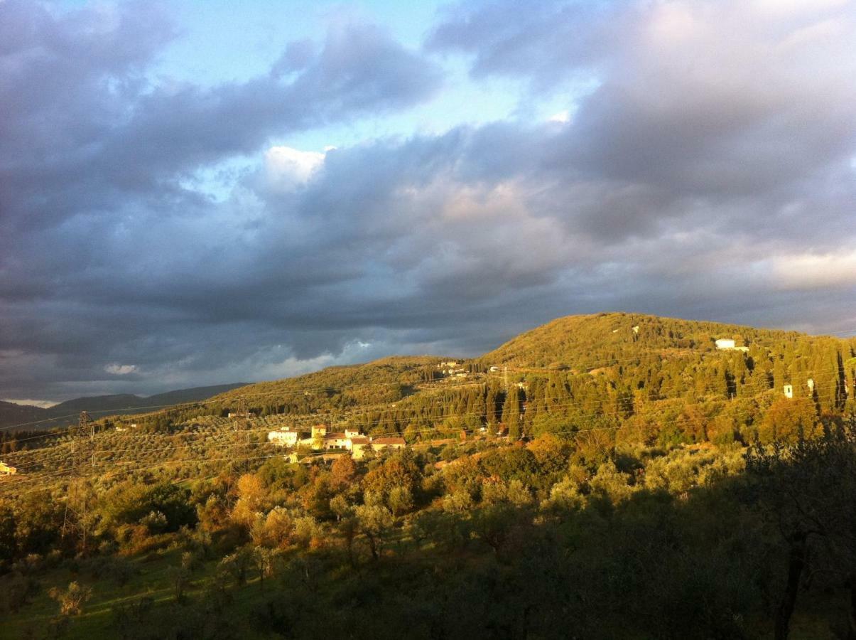 Villa Porcigliano Olive Grove Polcanto Екстер'єр фото